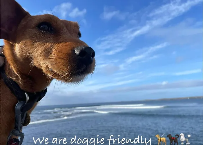The Old Boathouse At Harbour Apartamento Bunbeg